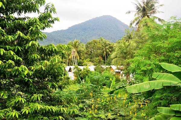 Jungle Garden Bungalows Hinkong Exteriör bild