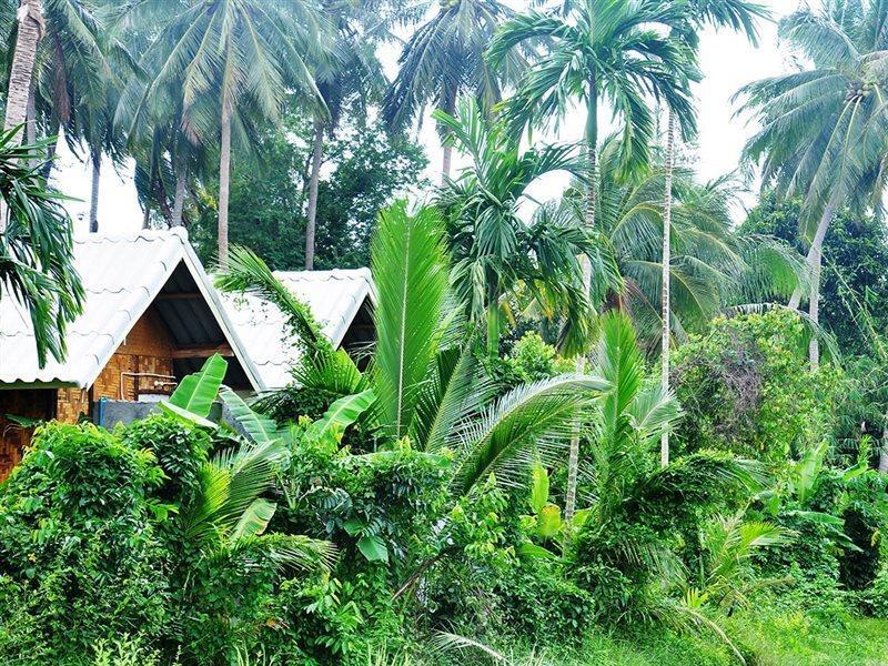 Jungle Garden Bungalows Hinkong Exteriör bild